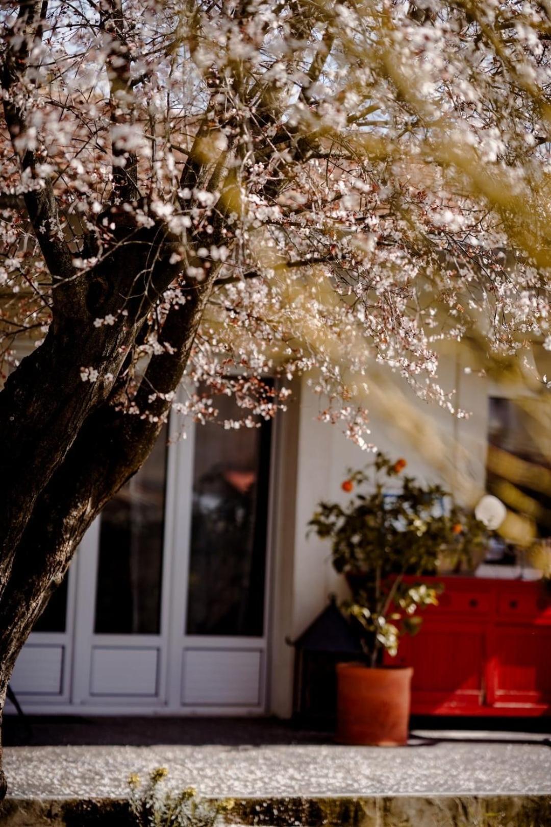 Saint-Maixent-lʼÉcole Chez Guilem Bed & Breakfast エクステリア 写真