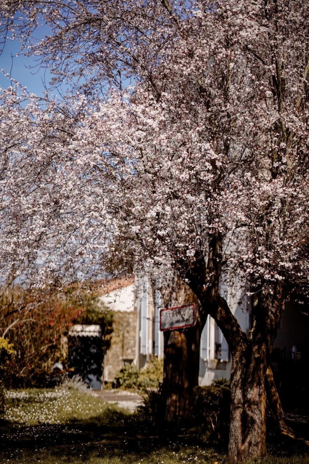 Saint-Maixent-lʼÉcole Chez Guilem Bed & Breakfast エクステリア 写真