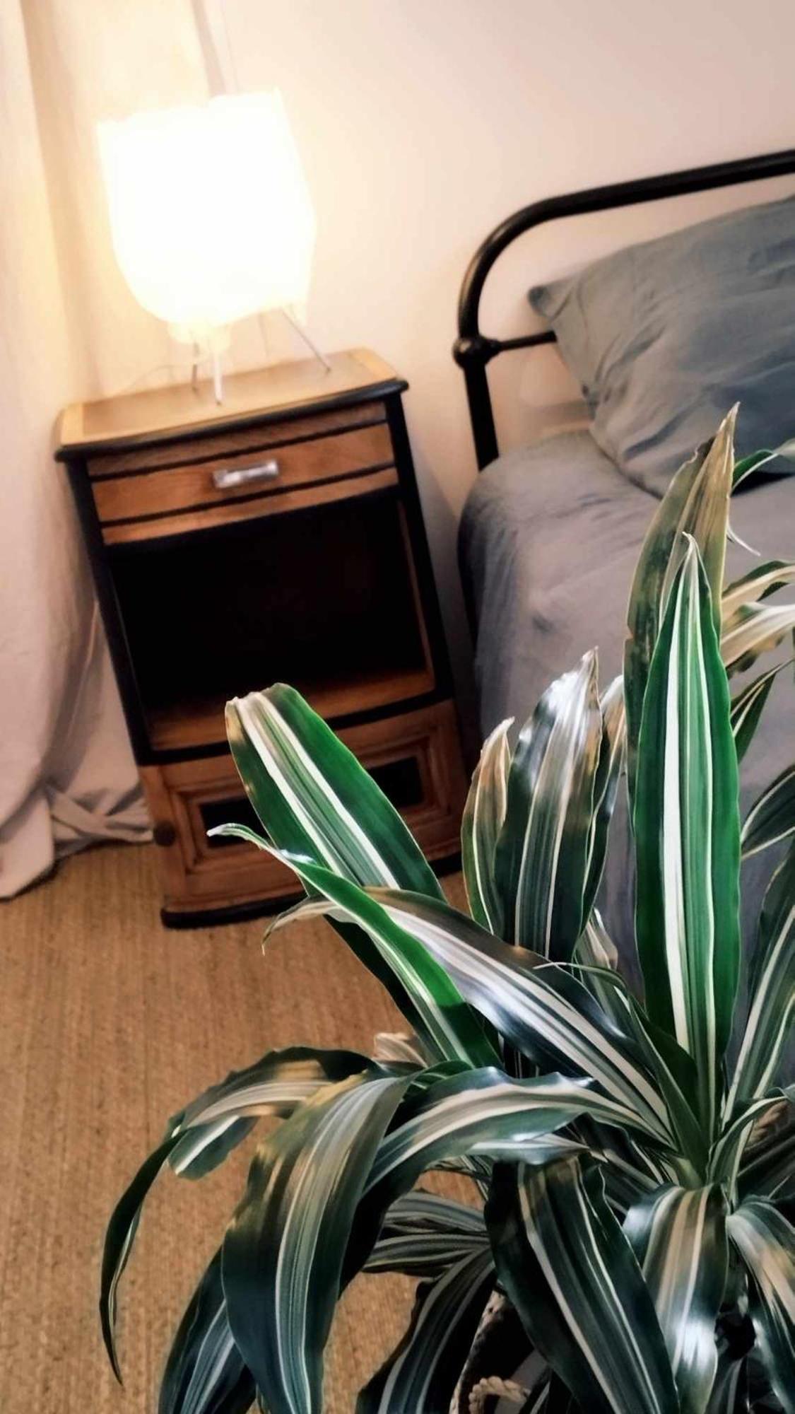 Saint-Maixent-lʼÉcole Chez Guilem Bed & Breakfast エクステリア 写真